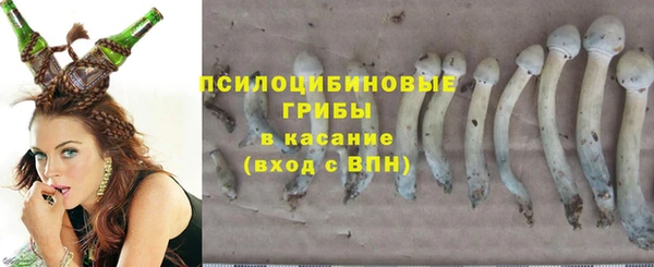 стаф Абдулино