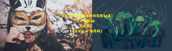 ПСИЛОЦИБИНОВЫЕ ГРИБЫ Новодвинск