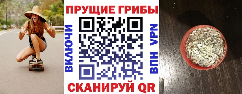 купить наркотик  Монино  ссылка на мегу сайт  Галлюциногенные грибы Magic Shrooms 